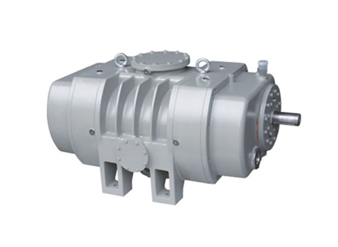 德耐尔罗茨真空泵